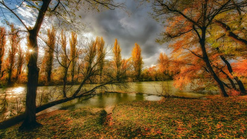 Провожая осеньphoto preview