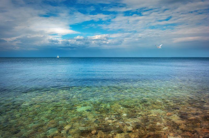 Море, Небо, Облака, Чайка, Яхта The Duo..photo preview