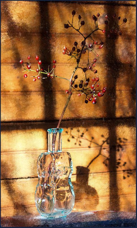 окно photo preview