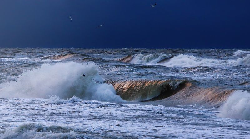  Marina, Russia