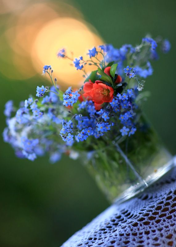 весна,цвет жизни,беларусь, ирина горюкина Радостьphoto preview