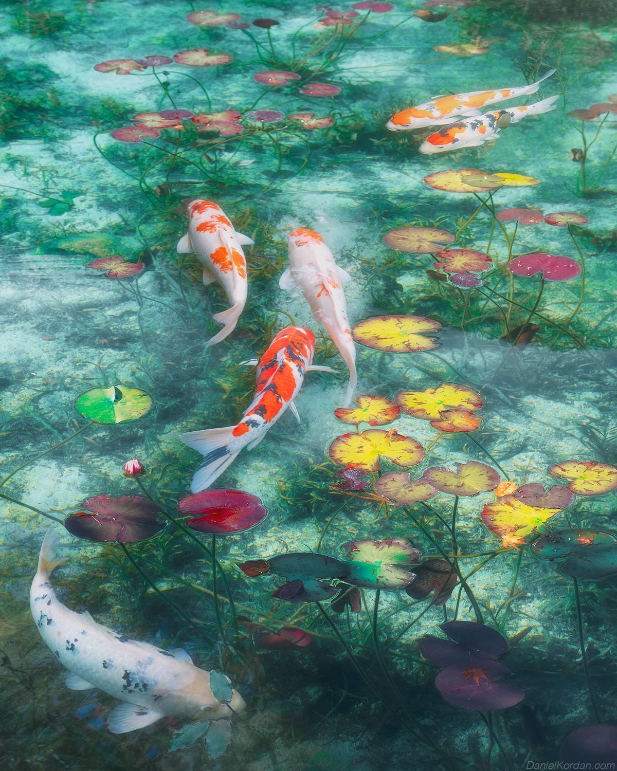 , Даниил Коржонов