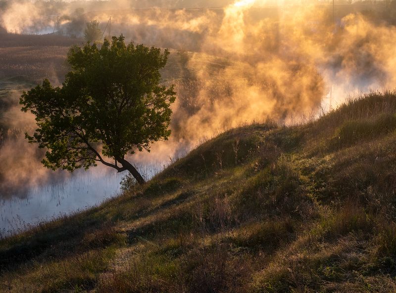 #ProKalmiusphoto preview