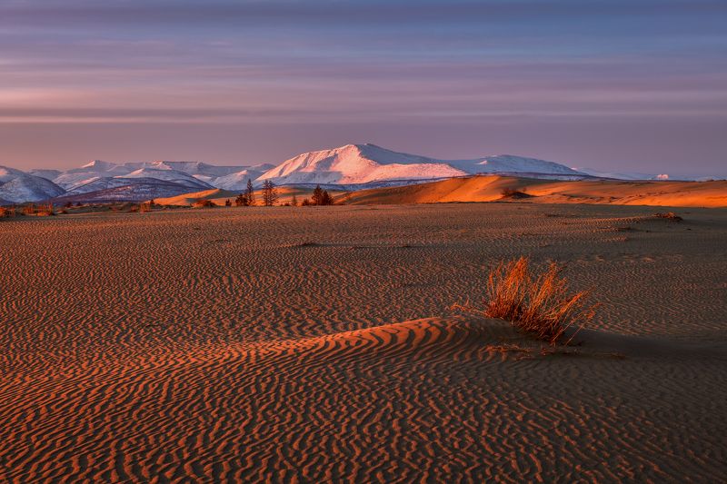 Утро в песках...photo preview