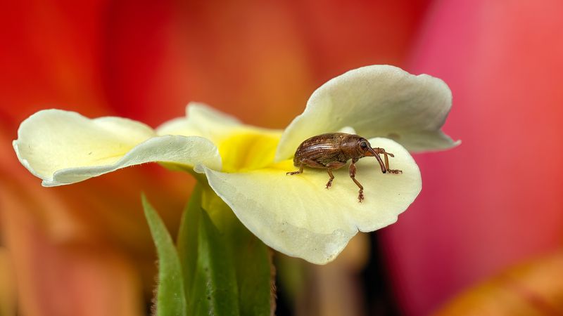 Малыш.photo preview