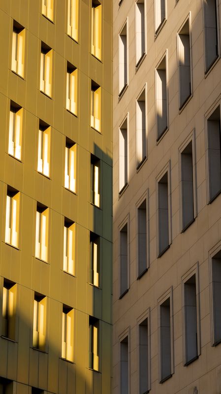 Золотоphoto preview