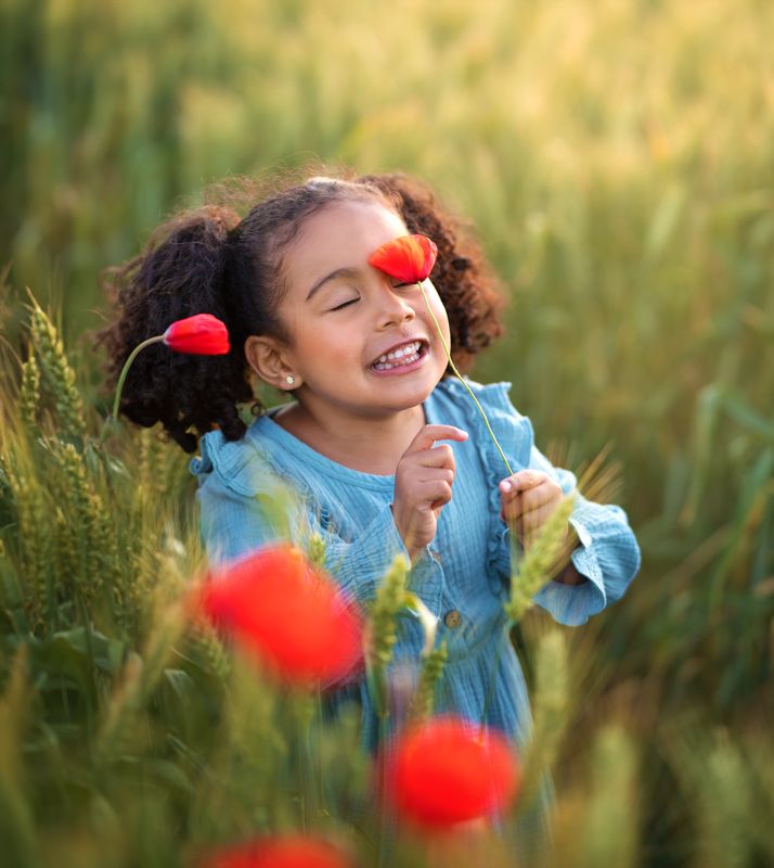 Red flowerphoto preview