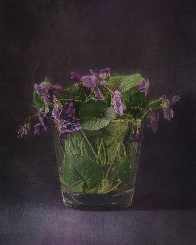 натюрморт, цветы, stilllife, flowers photo preview