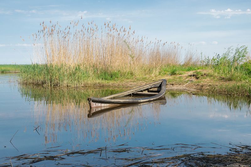природа, пейзаж, весна ***photo preview
