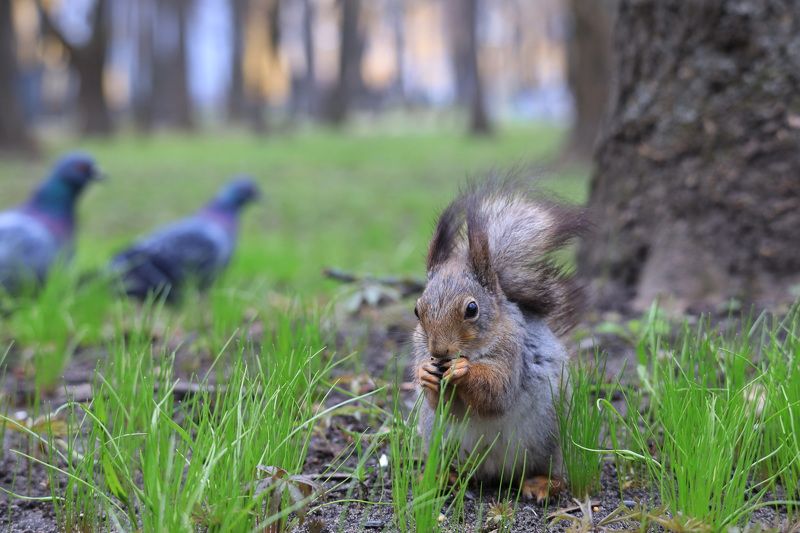 под прикрытием...photo preview