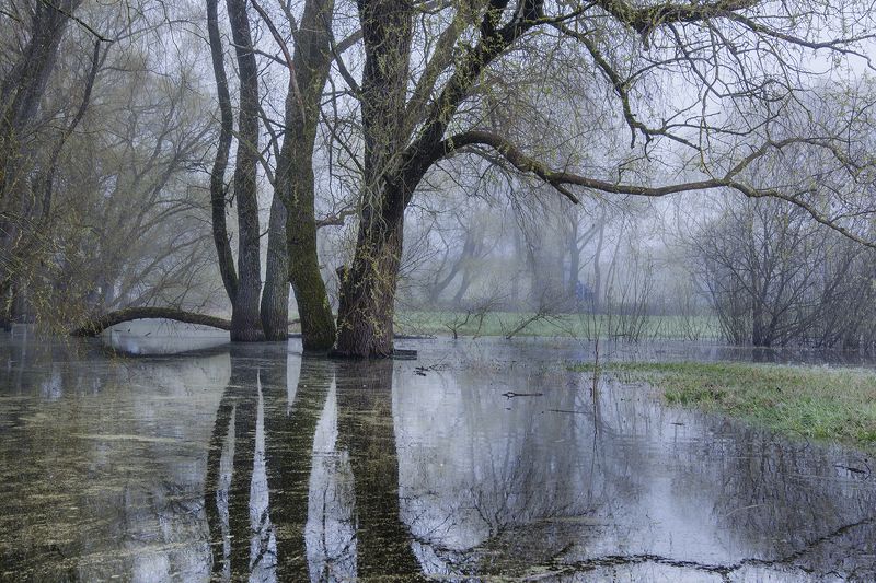 Утроphoto preview