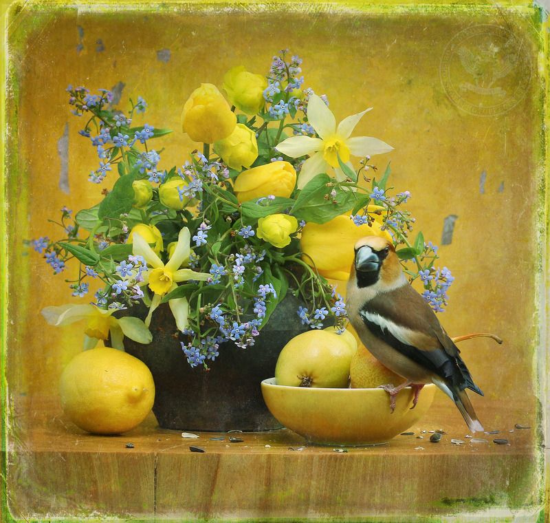 Натюрморт с бруннеройphoto preview