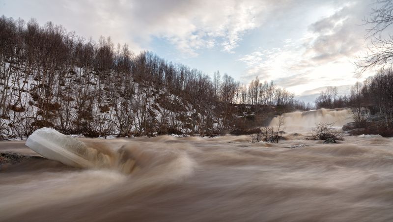 Движение весныphoto preview