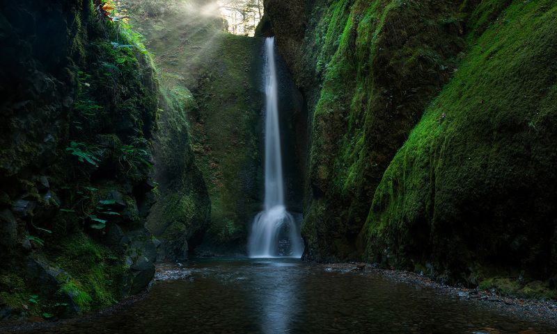 waterfall, green canyon, lush, Oregon, Oneonta gorge, Mystic Falls of Oneontaphoto preview