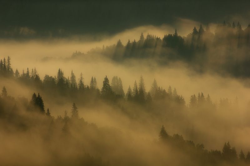 Утроphoto preview