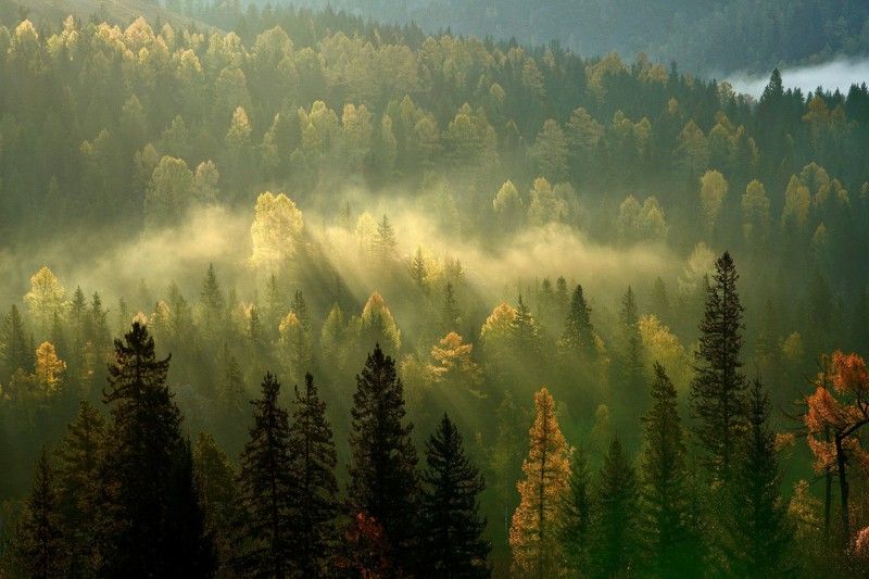 раннее осеннее утро на слиянии Урсула и Катуниphoto preview