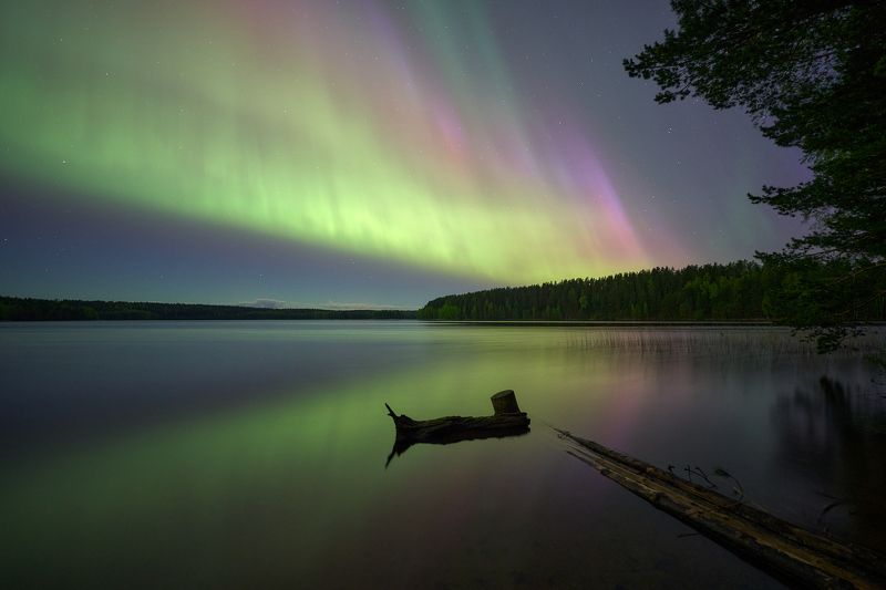 Под крылом Аврорыphoto preview