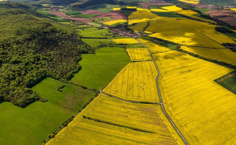 Spring carpetphoto preview