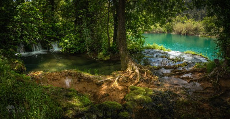 krka national park,krka,croatia,river,waterfall,falls,water,trees,forest,jungle,woods, Nature of Croatia - Krka NPphoto preview