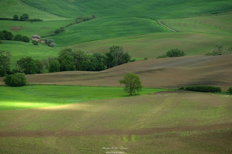 Toskanaphoto preview