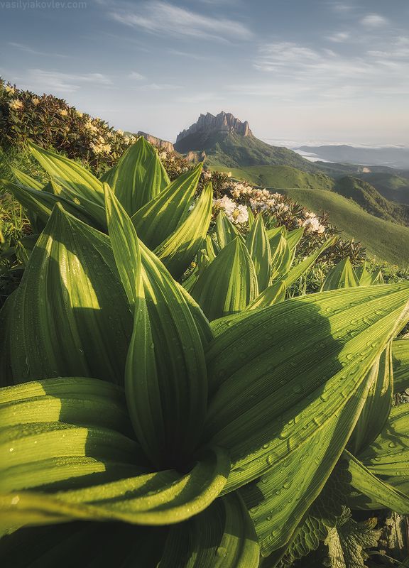 тхач, большой тхач, фототур, яковлевфототур, кавказ, адыгея Большой Тхачphoto preview