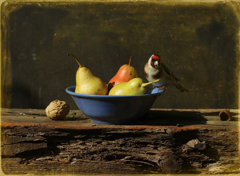 щегол Ужин Дона Кардуэлисаphoto preview