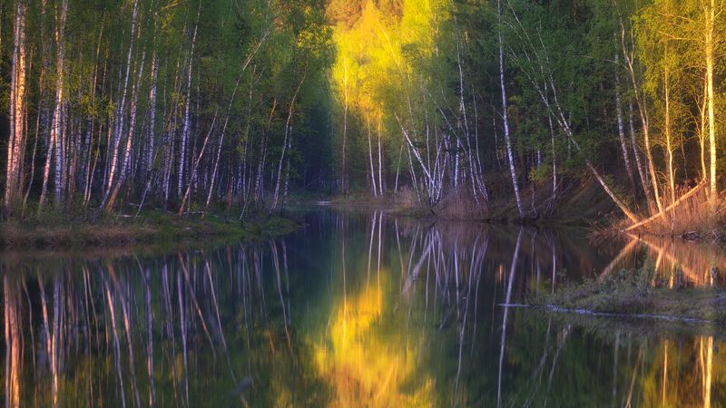 суворов, тула, бобриная карасятня Бобриная карасятняphoto preview