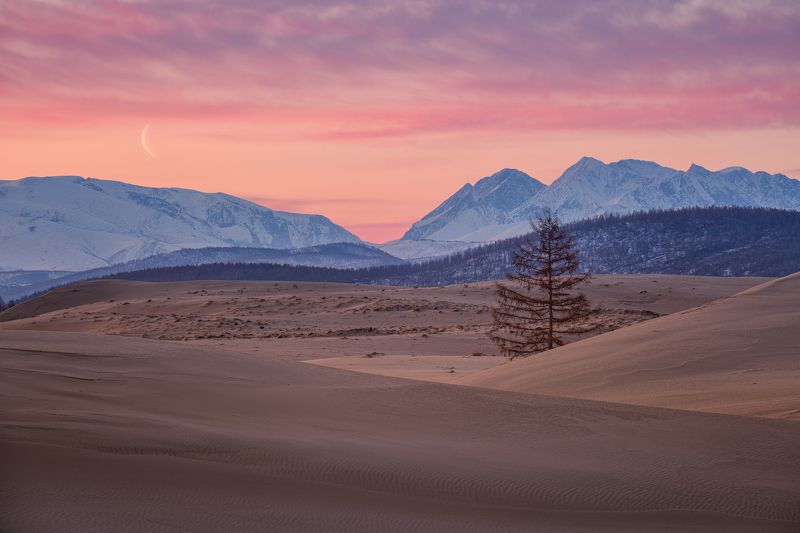Утро под музыку луны....photo preview
