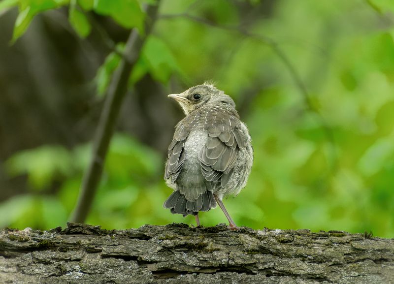 меня  заметили photo preview