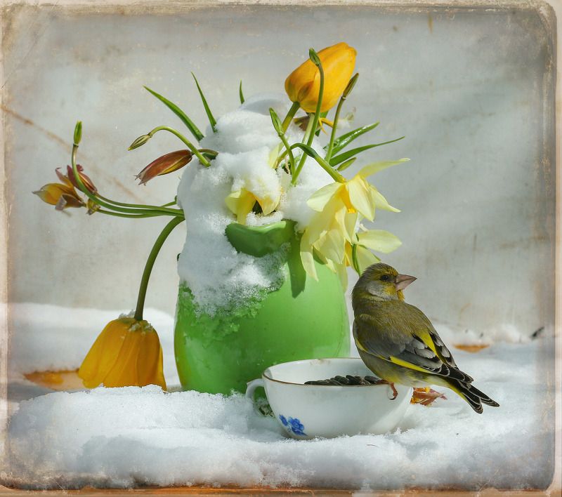 Утро 9 маяphoto preview