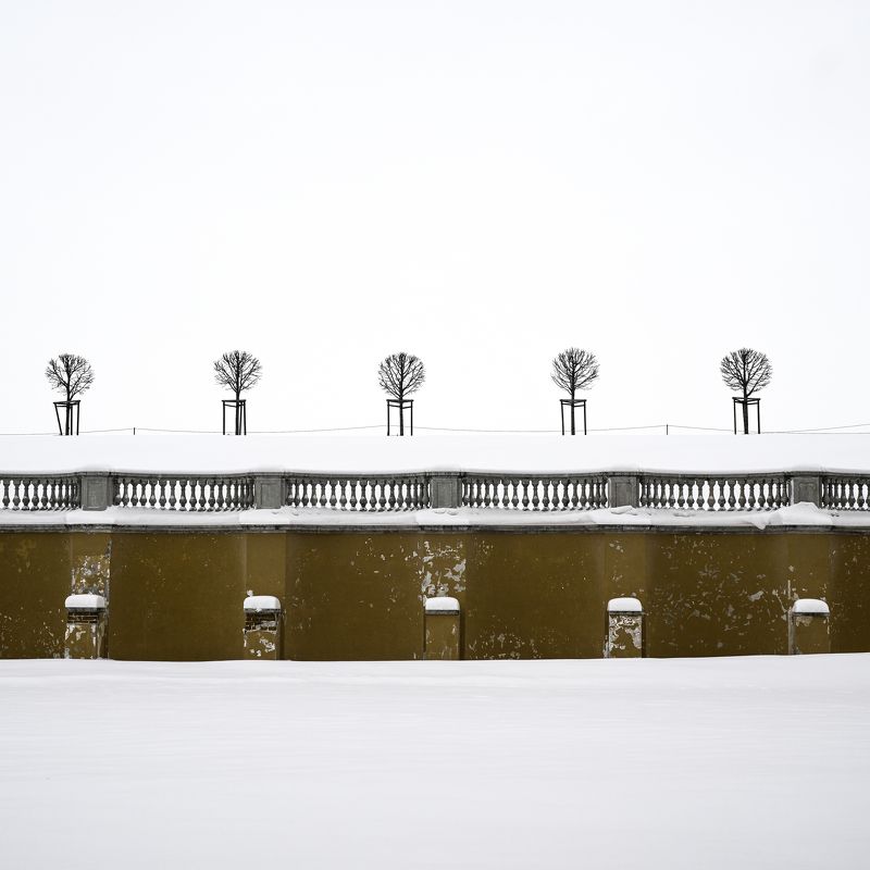 деревья, цвет, стена, красный, зима, снег photo preview