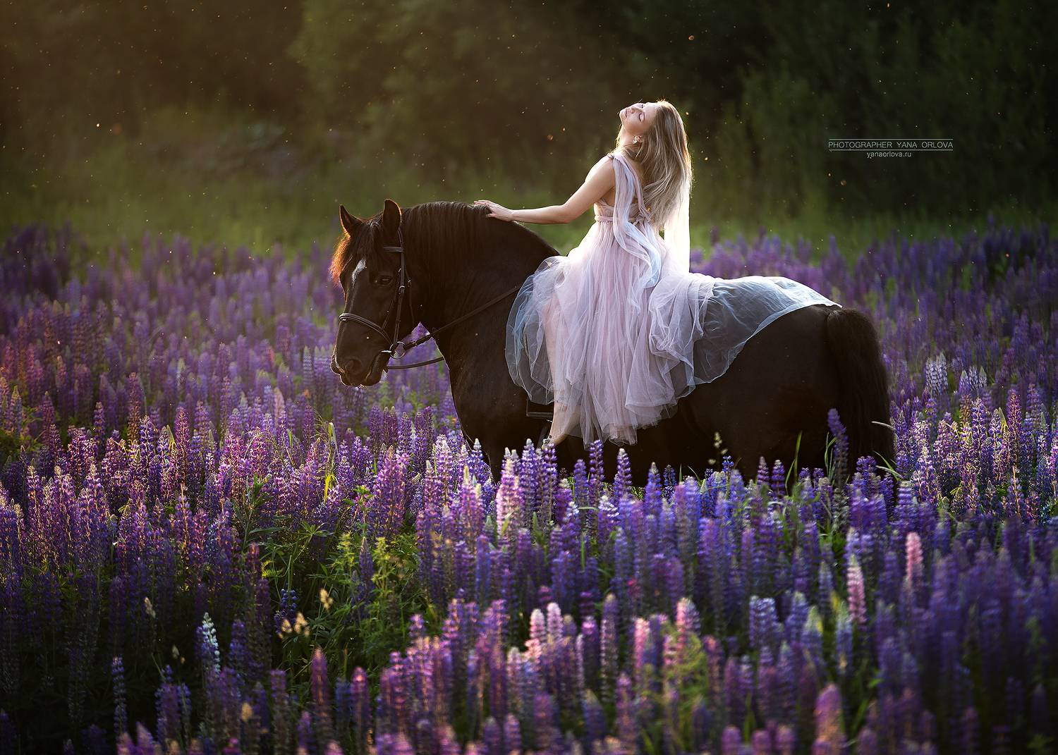 horse, horses, лошадь, конь, конный фотограф Яна Орлова, конныйфотограф, кэнон, canon, 7020028, лошади, фотографияслошадью, фотосессияслошадью, фотосессиислошадьми, коннаяфотография, pferd, horsephotographer, женский портрет, девушка , Яна Орлова