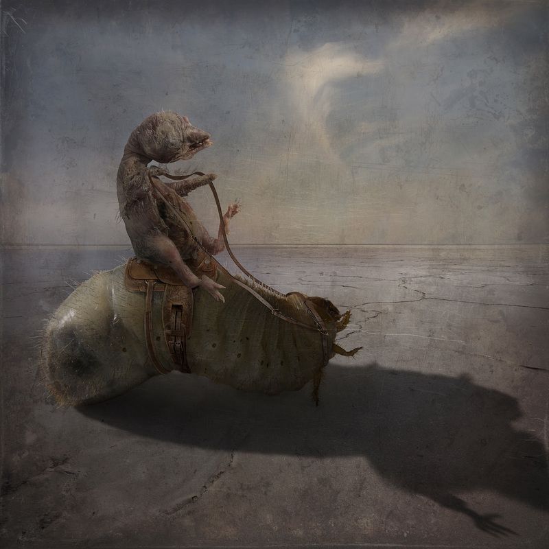 сюрреализм Прогулкаphoto preview