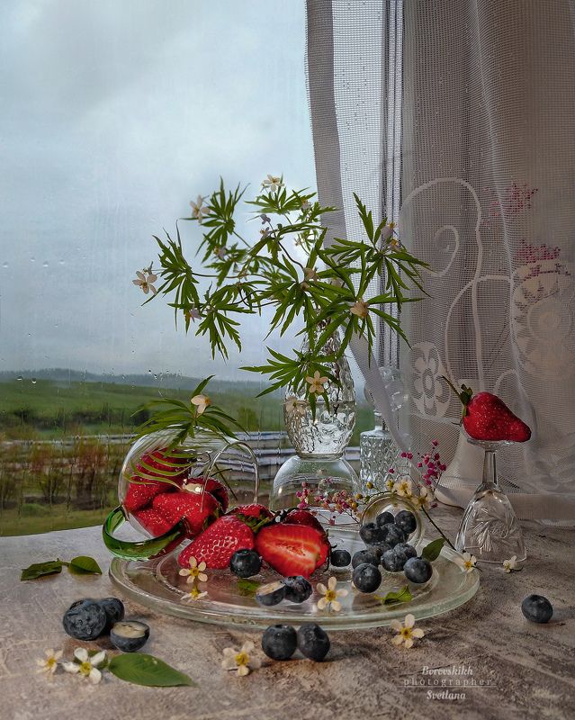 натюрморт, art_photo, прованс, клубника, голубика, ягоды, цветы, фото на окне, фото на телефон Ягодкиphoto preview