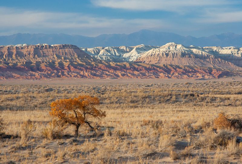 национальный парк, заповедник, алтын-эмель, туранга, красные горы, актау, казахстан photo preview