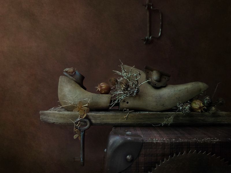 Brown Moodphoto preview