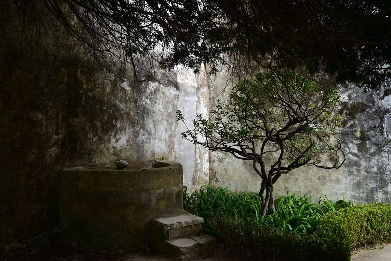 Nature, gardens, Palace Garden in the Sintra Palacephoto preview