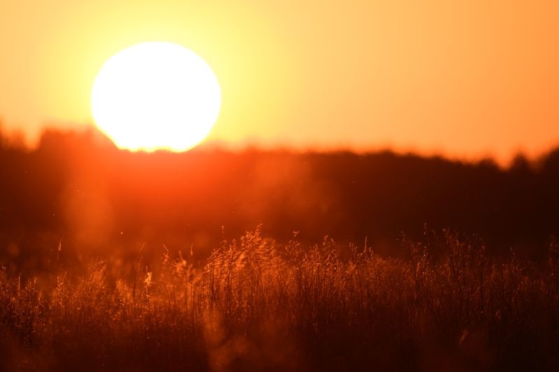 Sunrisephoto preview