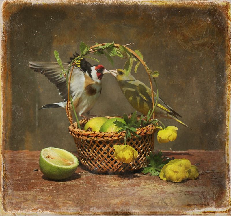 Натюрморт с половинкой лаймаphoto preview