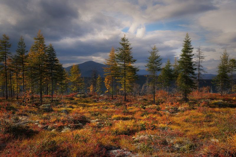 Колымаphoto preview