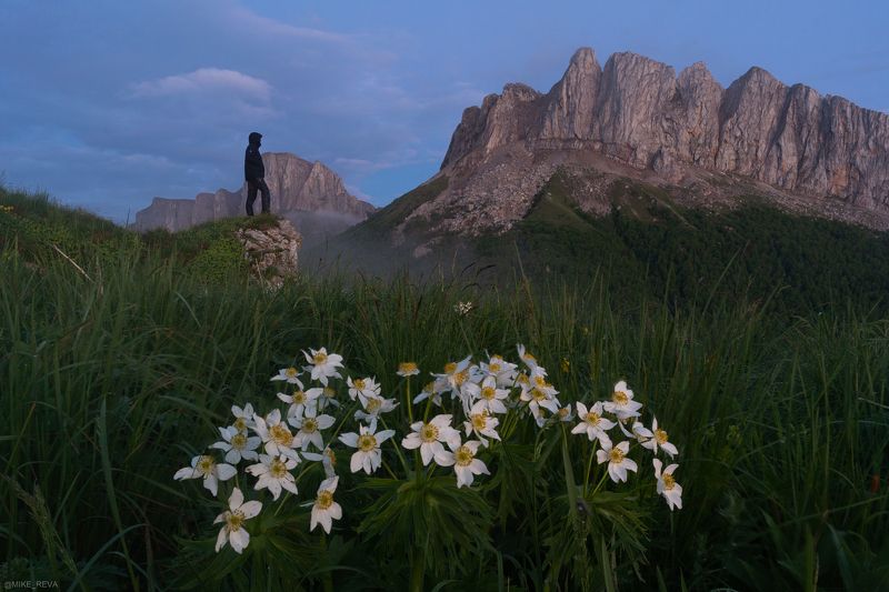 Сон фото превью