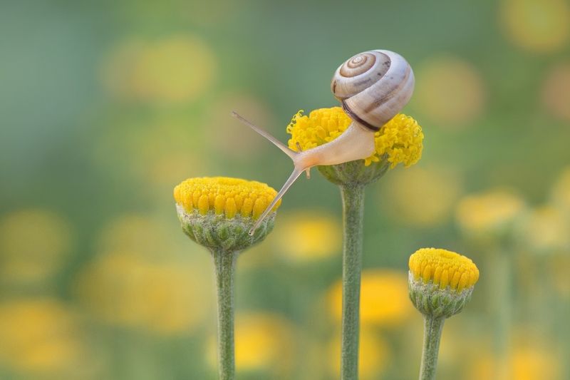 Майская зарисовкаphoto preview