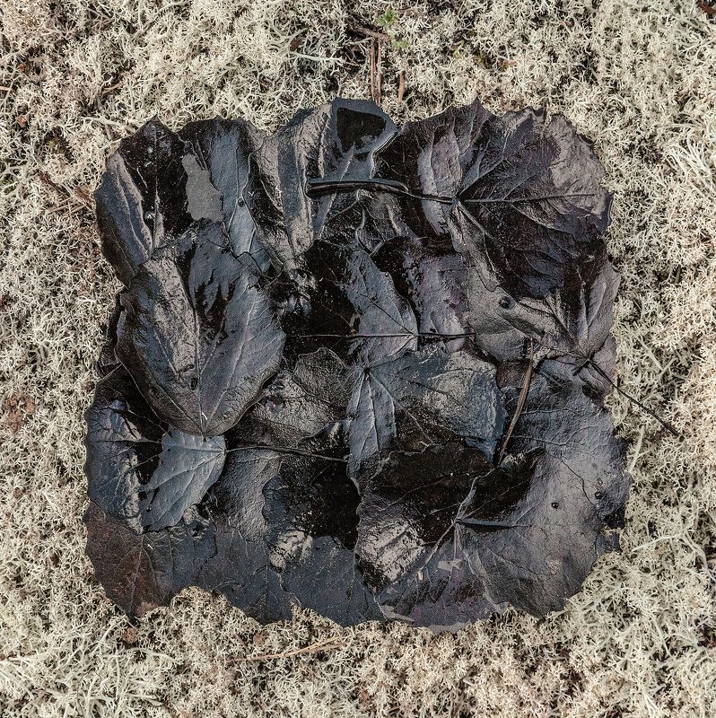 Супрематический лесной триптихphoto preview