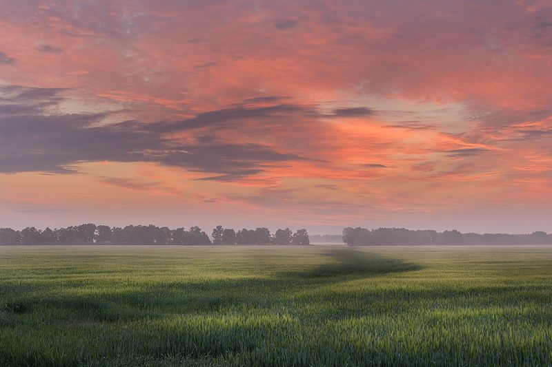 полеphoto preview