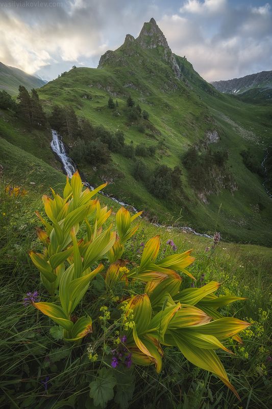 кчр, фототур, яковлевфототур, поход, загеданские, имеретинские, безмолвия, кавказ, имеретинка, загеданка, кавказ, поход Шхуантаphoto preview