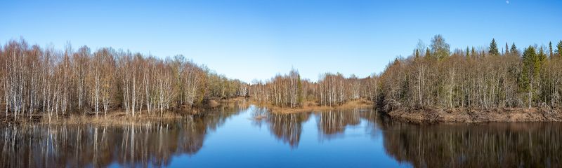 весна, половодье, май, заповедник Весна в заповедникеphoto preview