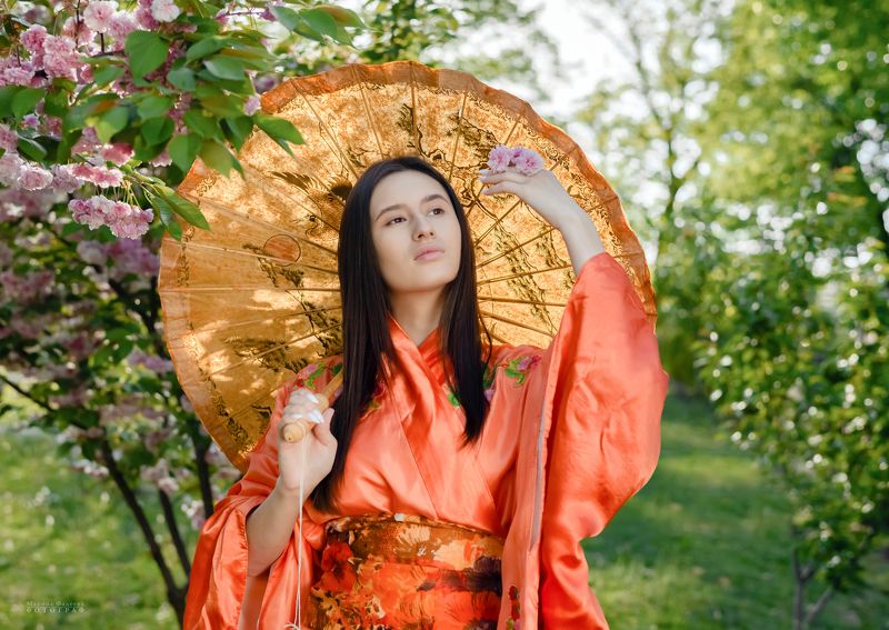 фотосессия, девушка, гейша, кимоно, сакура, глициния, цветение, весна, сады Гейшаphoto preview