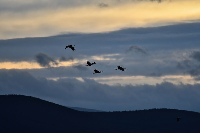 Степной закатphoto preview