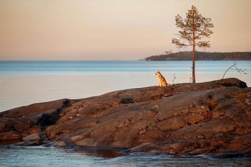 Ладогаphoto preview