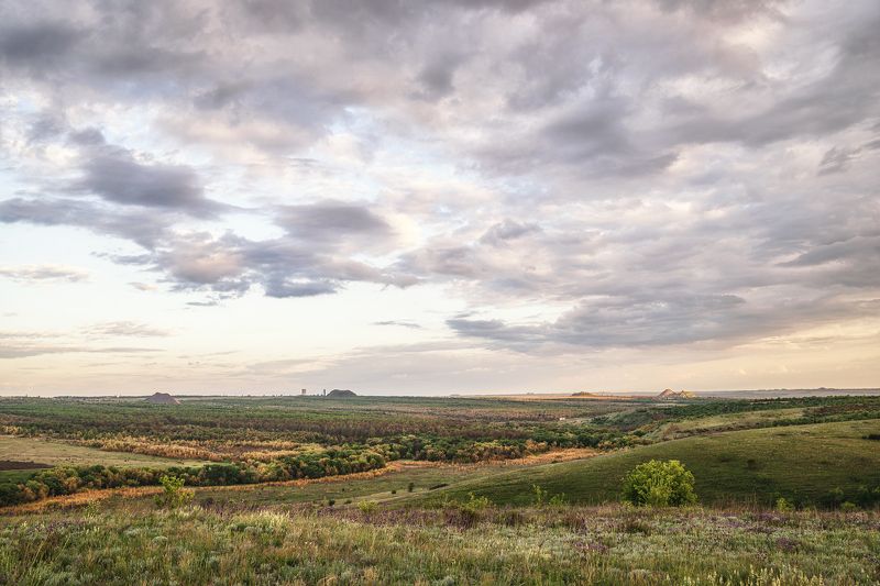 Балка Харцызская и Буруцкий лес.photo preview